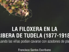 El ablitero Francisco Santos publica un libro sobre la plaga de filoxera que asoló la Ribera en el siglo XIX filoxera Ribera