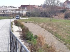 Tudela recupera la plantación popular del día del árbol