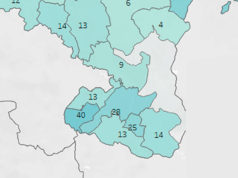 Coronavirus en la Ribera: 142 casos en el área de salud de Tudela