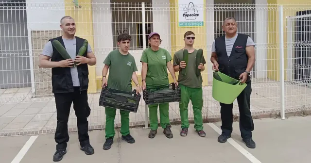 3eddd4bf-92d0-44c7-b161-b201b2ba4dc2 (2)