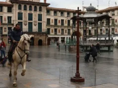 Decenas de tudelanos se acercan a la plaza con sus mascotas por San Antón