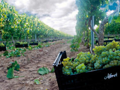 Grupo Príncipe de Viana