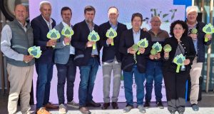 Alcachofa de España