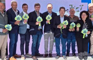 Alcachofa de España