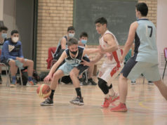 Baloncesto Arenas