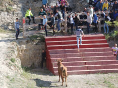 Arguedas, turismo para todos los gustos Arguedas