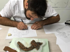 Arqueología de Cascante