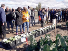INTIA reúne en Cadreita a 150 profesionales en torno a las hortícolas de otoño-invierno