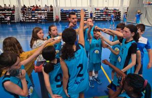 Baloncesto Arenas