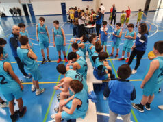 Baloncesto Arenas