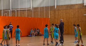 Baloncesto Arenas