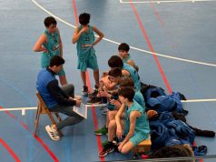Baloncesto Arenas