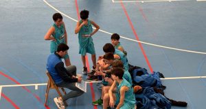 Baloncesto Arenas