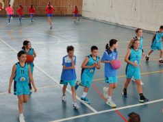 Baloncesto Arenas