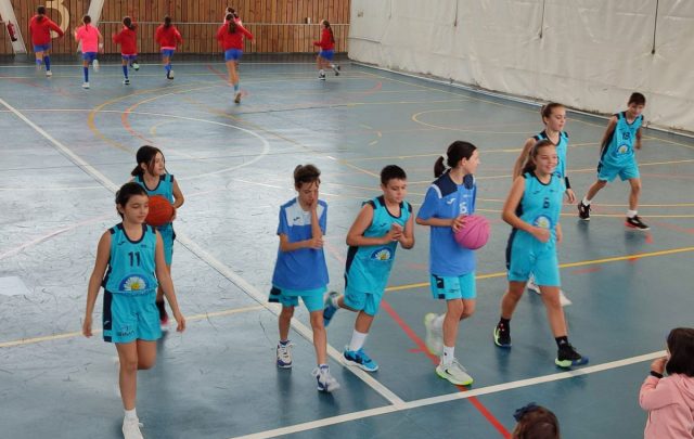 Baloncesto Arenas