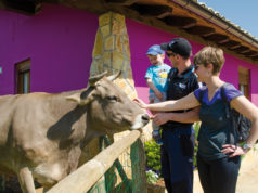 En Basabere encontramos animales de granja y también salvajes