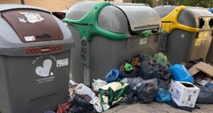 Tudela limpieza viaria