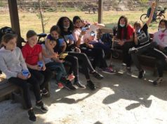 El Parque Erasmus del Sotillo, una nueva realidad en Corella Parque Erasmus
