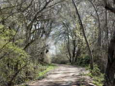 Los alrededores de Buñuel ofrecen parajes tan sugerentes como este