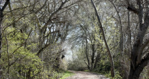 Los alrededores de Buñuel ofrecen parajes tan sugerentes como este