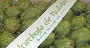 Alcachofa de Tudela