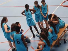 Baloncesto Arenas