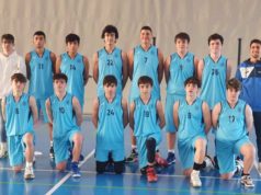 Baloncesto Arenas