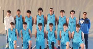 Baloncesto Arenas