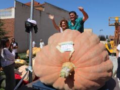 Valtierra acoge la XVII edición de la Feria Internacional de Calabazas Gigantes con un programa para todos los públicos
