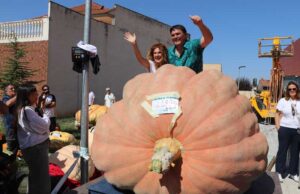 Valtierra acoge la XVII edición de la Feria Internacional de Calabazas Gigantes con un programa para todos los públicos