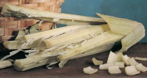 Cardo Peralta