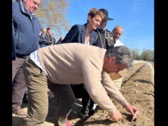 El chef Carles Abellán, homenajeado en la 12ª ‘Cata del Primer Espárrago de Navarra’ Cata del Primer Espárrago de Navarra