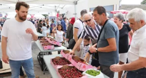 Programa Fiesta Cereza Milagro 2025