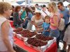 Milagro celebra la 25ª Fiesta de la Cereza con un fin de semana dedicado al producto local, la gastronomía y la tradición Fiesta de la Cereza Milagro