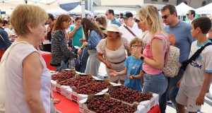 Fiesta de la Cereza Milagro
