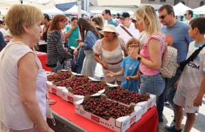 Milagro celebra la 25ª Fiesta de la Cereza con un fin de semana dedicado al producto local, la gastronomía y la tradición Fiesta de la Cereza Milagro