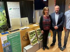 El 1er Congreso Alcachofa ‘Blanca de Tudela’ quiere poner en valor esta variedad cultivada en Navarra Blanca de Tudela