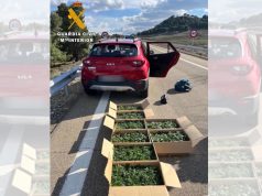 Detenido Corella