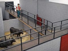 Fustiñana construye un nuevo corral fijo para vaquillas que estará listo para las próximas fiestas de verano Fustiñana corral vaquillas