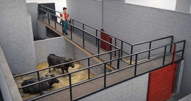 CORRAL-VACAS-FUSTI-00 Fustiñana corral vaquillas