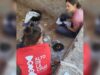 Puertas abiertas en el yacimiento arqueológico del Alto de la Cruz de Cortes Puertas abiertas Alto Cruz Cortes