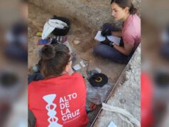 Puertas abiertas en el yacimiento arqueológico del Alto de la Cruz de Cortes Puertas abiertas Alto Cruz Cortes