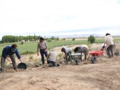 El Yacimiento Arqueológico del Alto de la Cruz de Cortes desarrollará un Plan Director a partir de Octubre