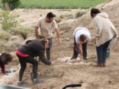 El Proyecto Alto de la Cruz de Cortes saca a la luz la muralla de la I Edad de Hierro y comienza su excavación