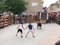 El toro de San Juan, principal atractivo de las fiestas de Cortes