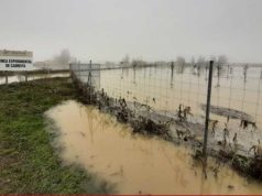 Las inundaciones de diciembre invalidan los ensayos que se realizaban en la Finca que INTIA tiene en Cadreita