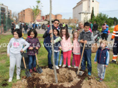 Polémica por la coincidencia del Día del Árbol y el Día de la Mujer el 8 de marzo