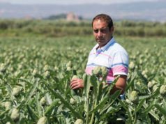 FHF apuesta por la modernización del sector, sin olvidar la tradición