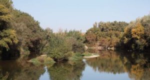 La Ribera