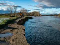 Iniciados los trabajos de adecuación y restauración ambiental del Ebro en «El Ortigoso», Milagro El Ortigoso
